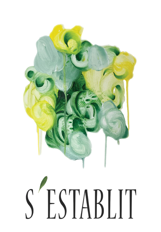 logo-sestablit-footer