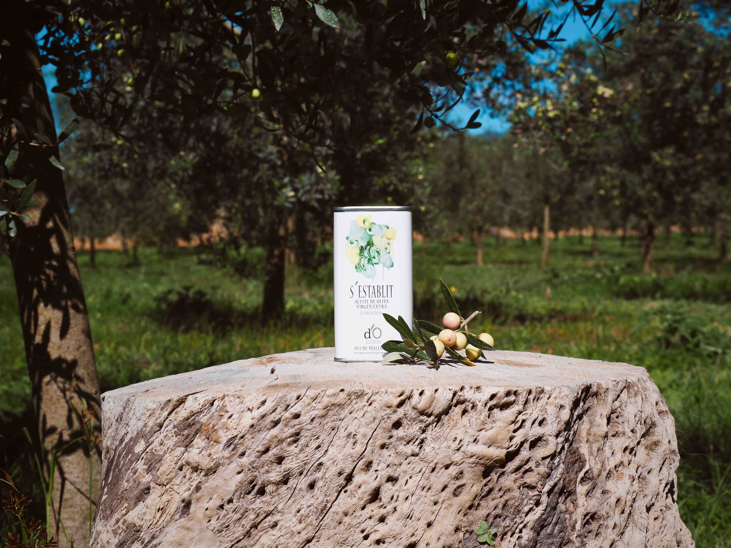 comprar-do-oli-de-mallorca-sestablit-lata-aceite