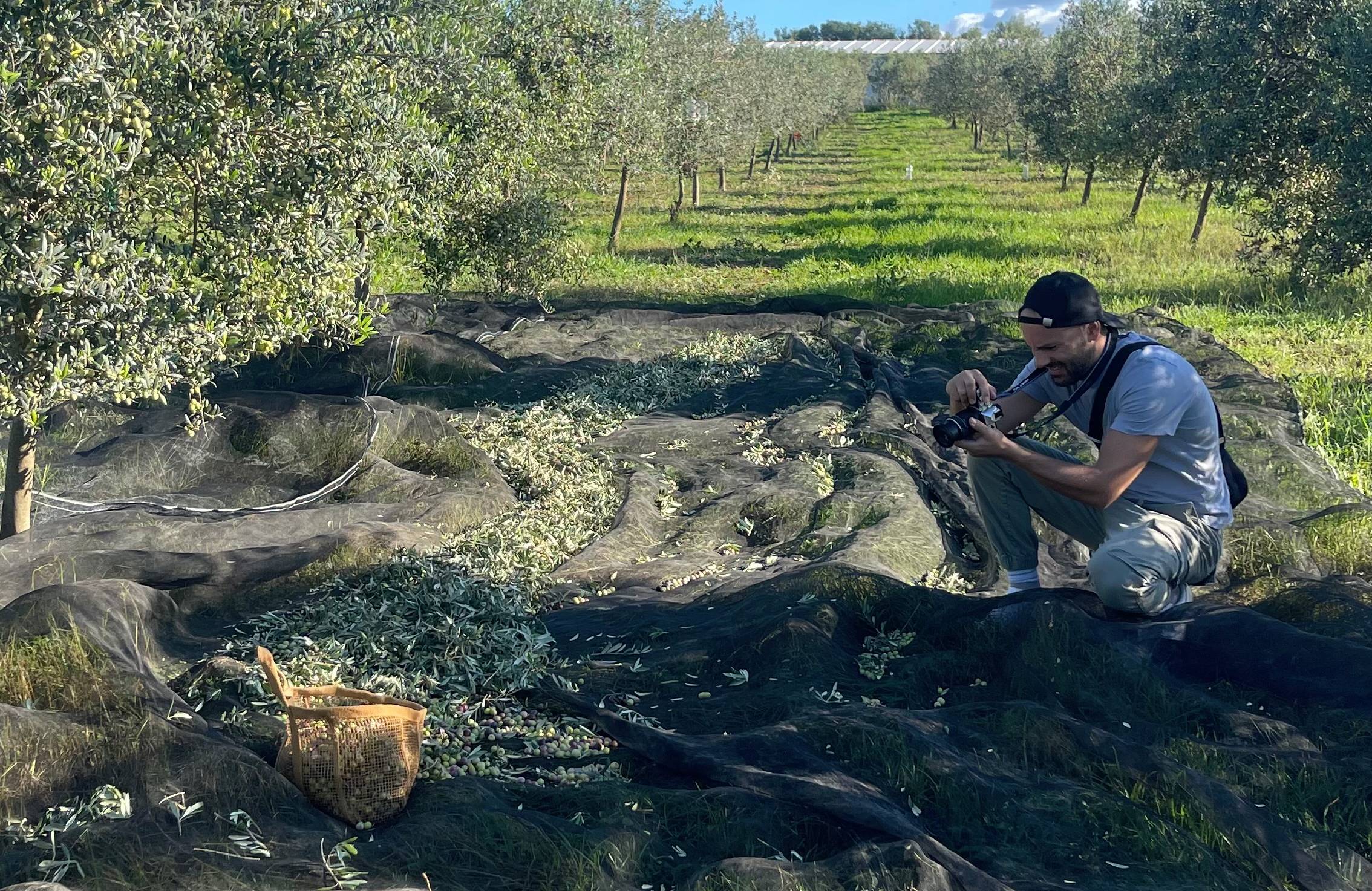 impulsando-el-producto-local-mallorca-proyecto-institucional